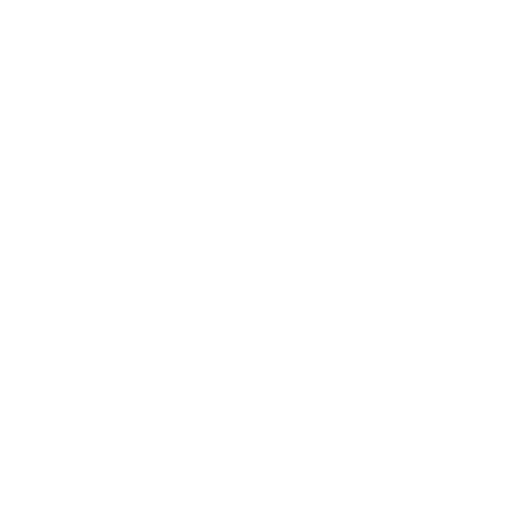 RT-LM-Logo-weiss