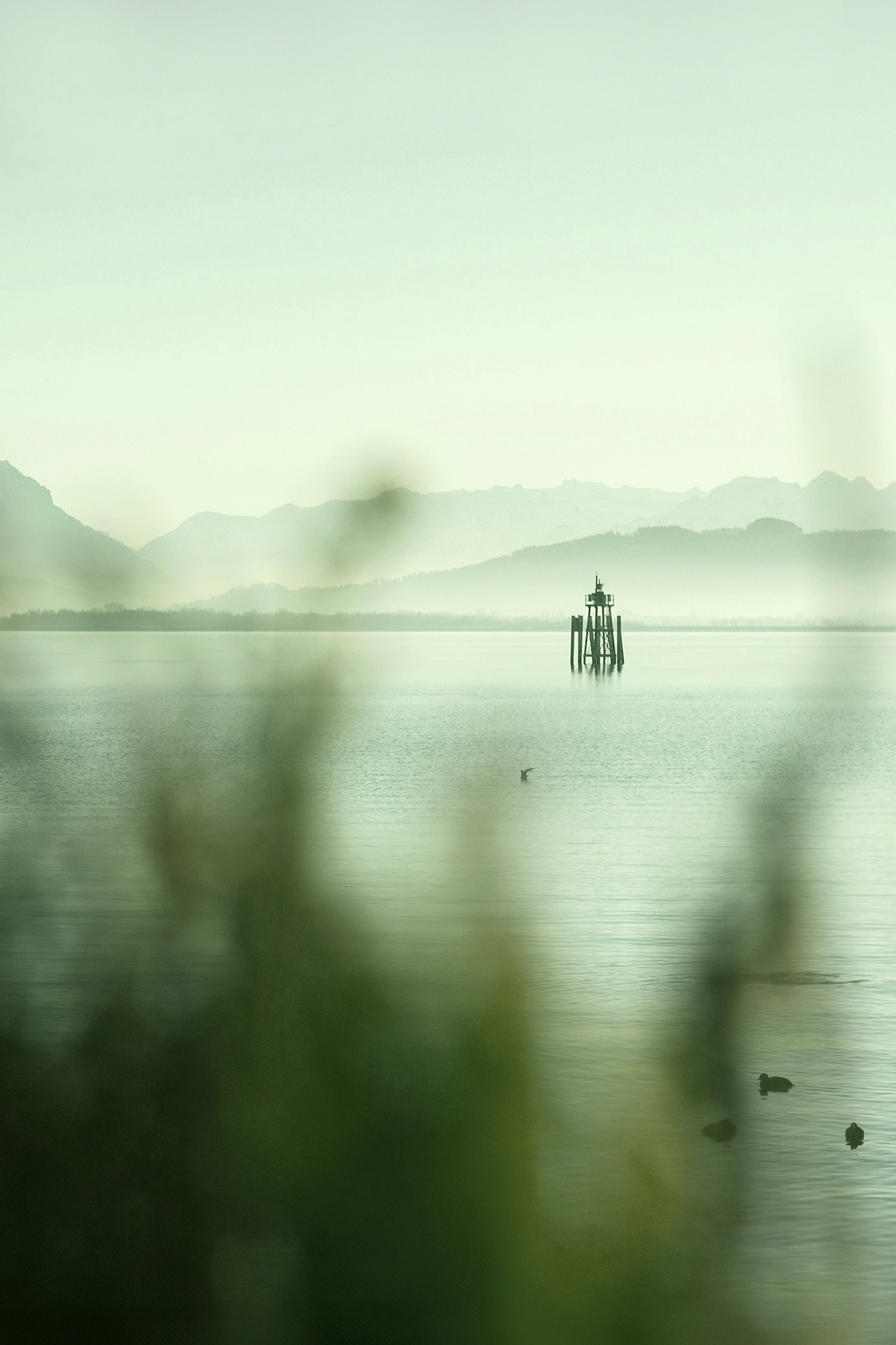 RT-BergeBodensee